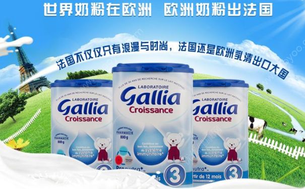 法國Gallia奶粉好不好？法國Gallia奶粉怎么樣？(1)