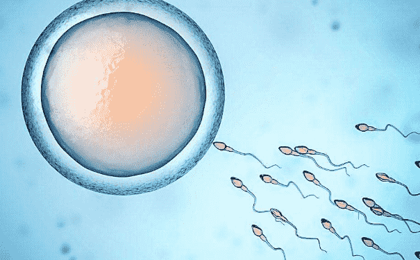 男性精子質(zhì)量低有哪些原因？男性精子質(zhì)量低怎么辦？(1)