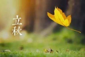 立秋后就喝這3湯，去濕氣補(bǔ)血?dú)猓挥X睡到大天亮！