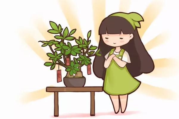 20種花草的風(fēng)水意義，讓你財(cái)源廣進(jìn)！