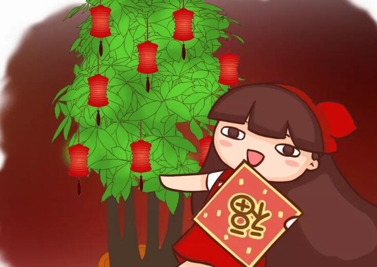 過年給花塞點(diǎn)錢，福氣增加100倍，紅紅火火迎新春！