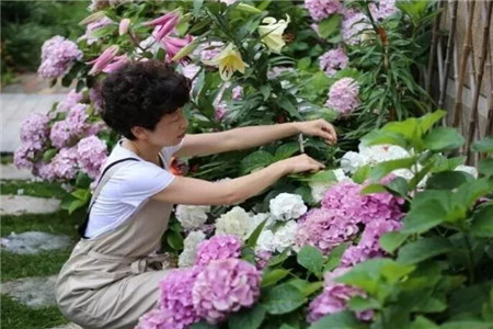 愛(ài)養(yǎng)花的女人