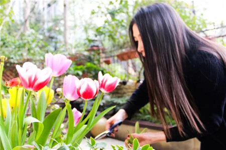 愛(ài)養(yǎng)花的女人