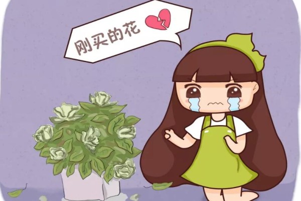 入秋別買這5種花，回家3天花苞全掉，再便宜都虧!