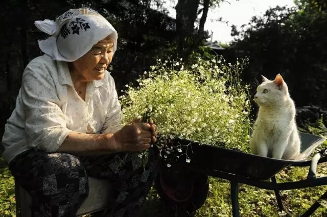 奶奶采來了一把滿天星， 她開心的像個(gè)少女。 在夕陽下，我們靜靜對坐， 就像心意相通的老友。