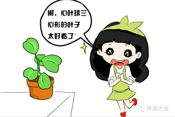 這花就算永遠不開花，我也想養(yǎng)一萬年