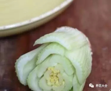 芹菜頭