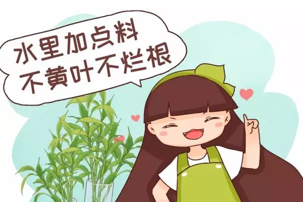 水里加點(diǎn)料，葉跟打了蠟似的，賊綠賊亮！