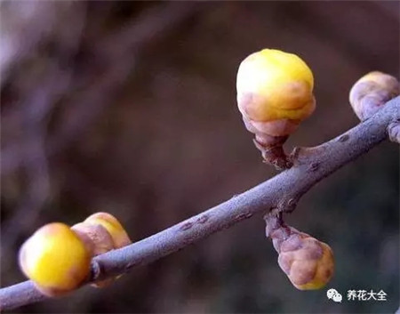 促進發(fā)芽