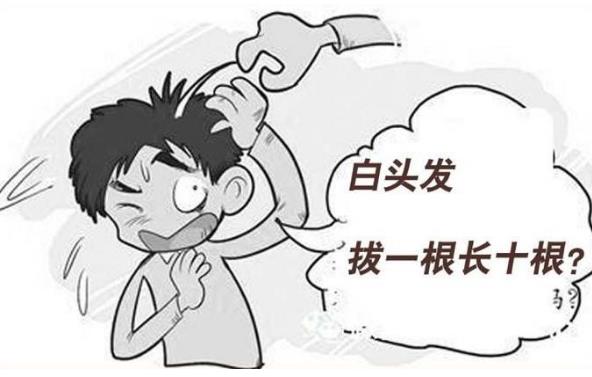 白頭發(fā)如何根治才能變成黑頭發(fā)？白頭發(fā)真的是拔一根會(huì)長十根嗎