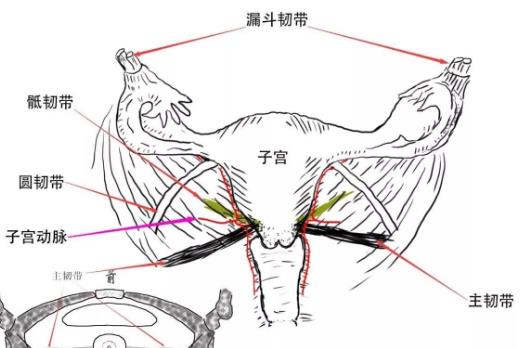 保養(yǎng)子宮這幾件事一定不要做 不然又老又丑