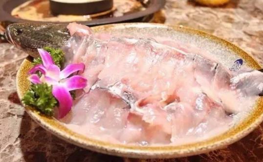 黑魚有哪些營養(yǎng)成分？吃黑魚有哪些禁忌？