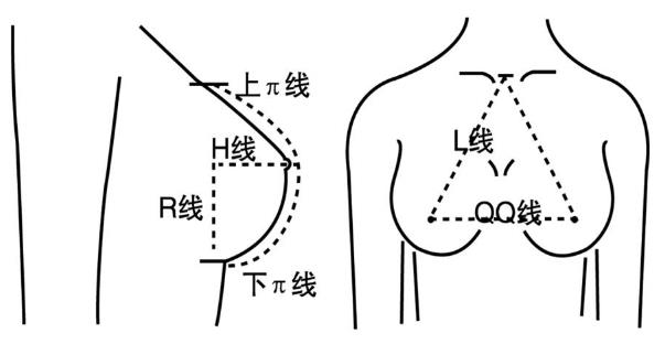 高中女生胸部應(yīng)該多大？高中女孩乳房一般多大發(fā)育標(biāo)準(zhǔn)？[圖]