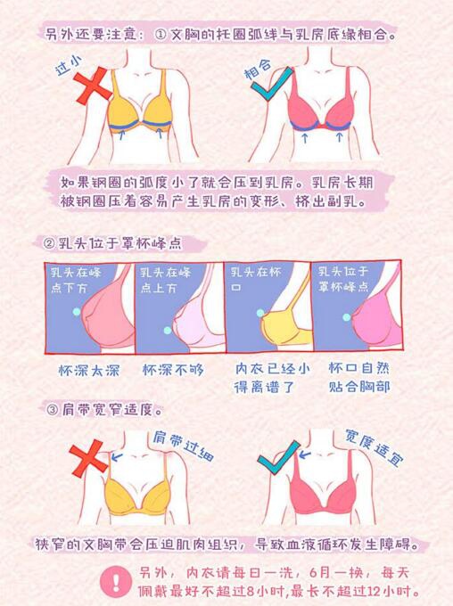 女人乳房長(zhǎng)什么樣最完美？最標(biāo)準(zhǔn)的乳房形狀長(zhǎng)什么樣？[圖]