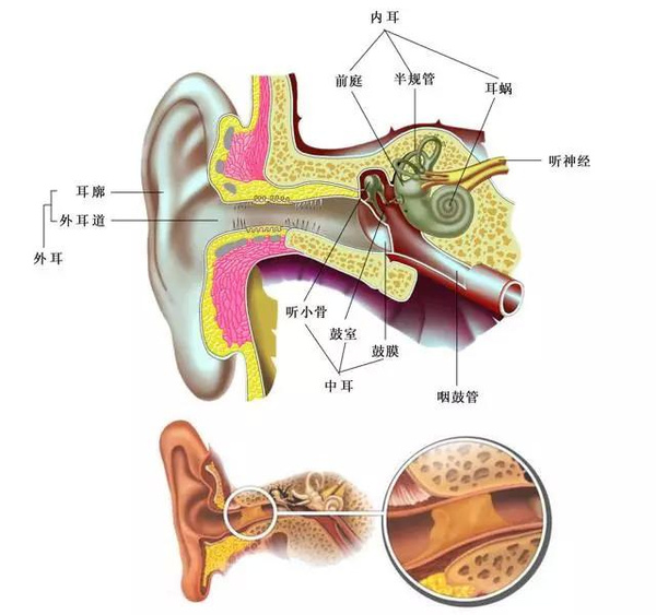 耳屎是怎么產(chǎn)生的？耳屎多是怎么回事呢？[圖]