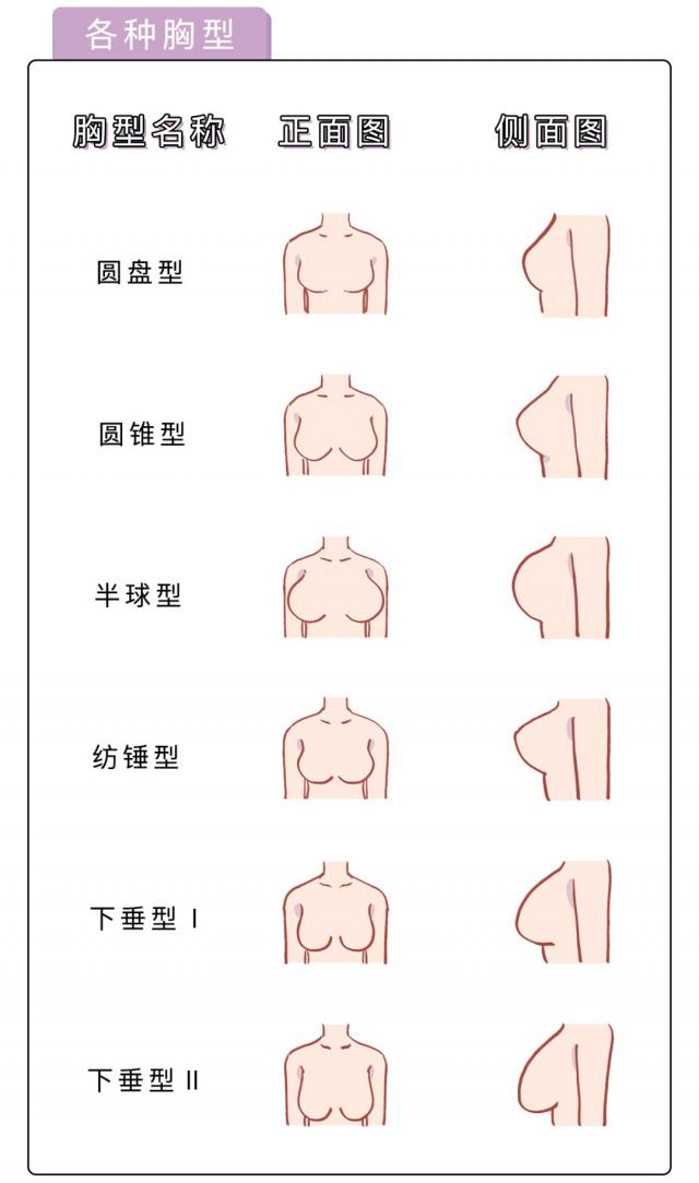 女人的乳房是什么樣的圖片？女性的胸部有哪些形狀？[多圖]