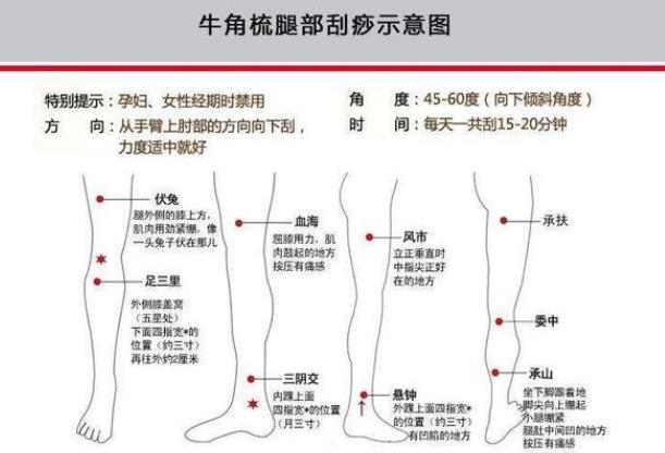 刮痧瘦腿有效嗎 經(jīng)脈疏通促進(jìn)血液循環(huán)排毒