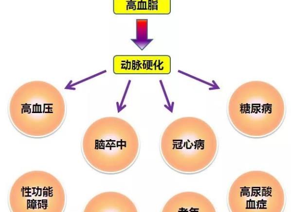 高血脂怎么調理 加強鍛煉減肥少吃甜食脂肪