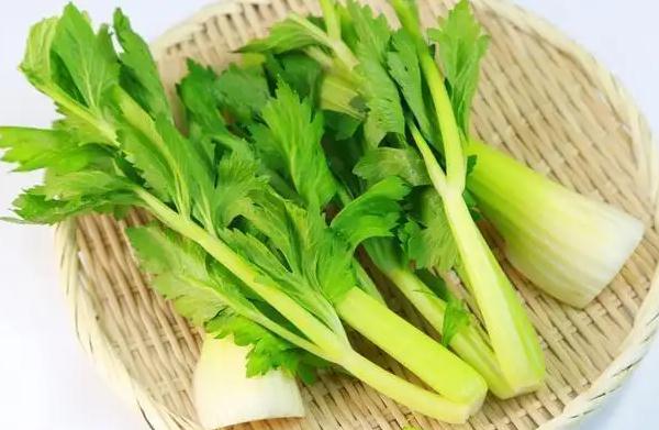 芹菜凍了能吃嗎？芹菜過(guò)夜還能吃嗎？