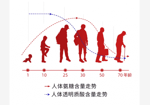 膝關(guān)節(jié)疼痛不怕，營養(yǎng)屋谷比利助你科學(xué)護(hù)膝