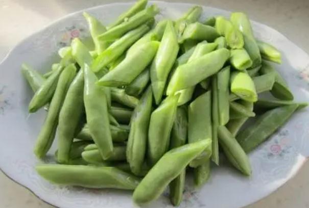 秋蕓豆何時能夠種植？種植秋蕓豆要注意什么？