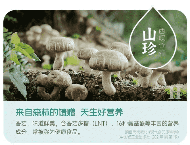 專(zhuān)家眼中的“零脂肪素肉”，這種“植物肉”應(yīng)該天天吃