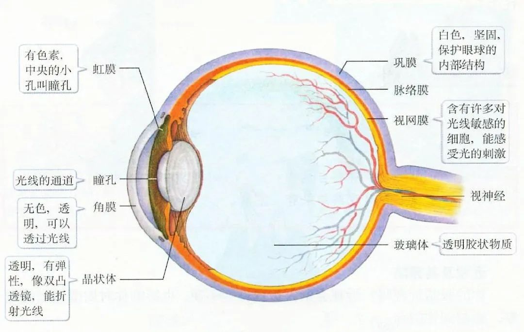 【合肥愛爾眼科】眼底病，看不見摸不著不熟悉且十分危險(xiǎn)！