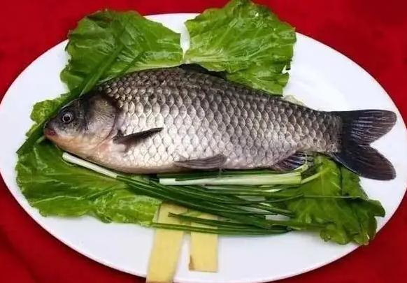 鯽魚死了多久不能吃？鯽魚可以放冰箱冷凍嗎？