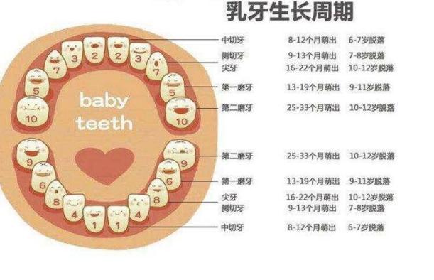 兒童磨牙怎么辦？嬰兒磨牙棒會讓牙齒畸形嗎？