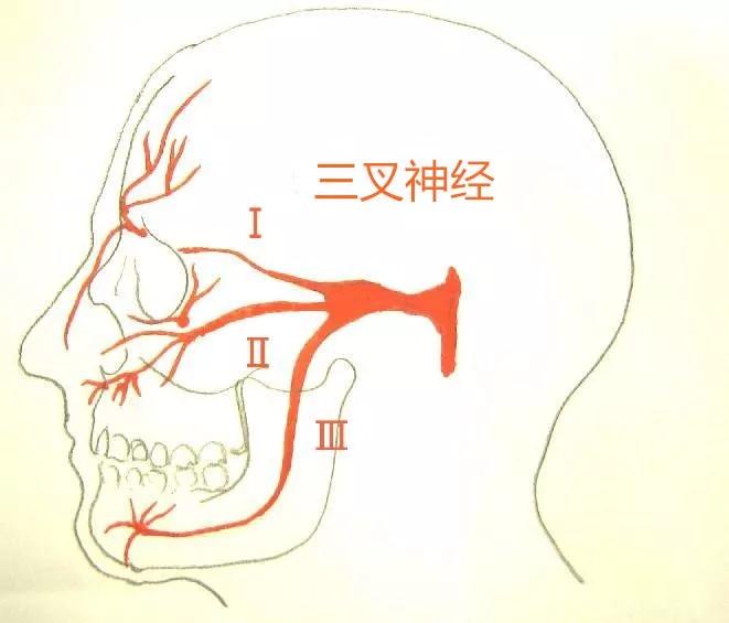 北京廣濟(jì)醫(yī)院怎么樣，三叉神經(jīng)痛會(huì)導(dǎo)致耳鳴嗎？