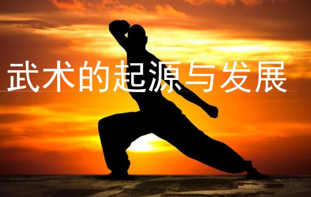 武術的發(fā)展和起源是怎么來的？武術可以鍛煉孩子什么？