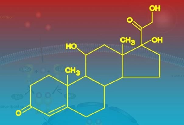 喝咖啡會(huì)導(dǎo)致皮質(zhì)醇過(guò)高嗎 高皮質(zhì)醇有哪些影響