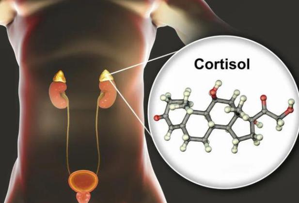 皮質醇高有哪些癥狀 體重增加高血壓血糖升高