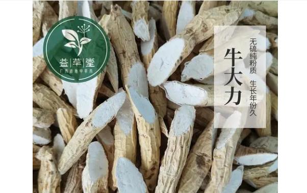 牛大力有什么功效與作用？哪些人群不宜食用牛大力？