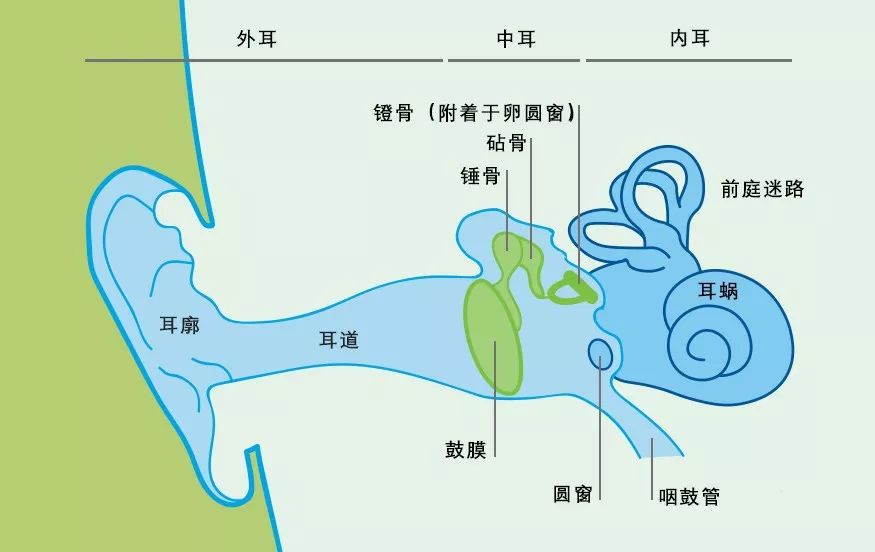 廣泛使用的藍牙耳機正在威脅你的耳朵健康嗎？