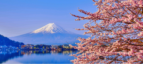 櫻花季，富士國際健康東京大學附屬醫(yī)院高端精密體檢特惠放送