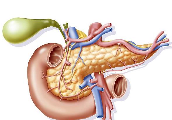 胰腺癌有哪些征兆 胰腺癌可以活幾年